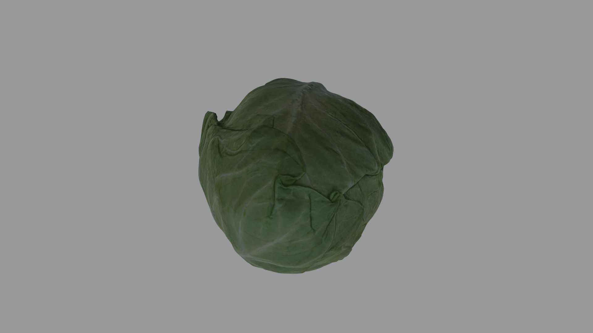 Cabbage Head preview image 6